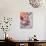 Rural Bihari Woman with Orange Vaishnavite Teeka on Forehead, Sonepur, Bihar, India-Annie Owen-Photographic Print displayed on a wall