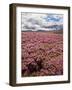 Rural Country Scene in the North of England UK-Mark Sunderland-Framed Photographic Print