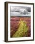 Rural Country Scene in the North of England UK-Mark Sunderland-Framed Photographic Print