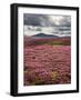 Rural Country Scene in the North of England UK-Mark Sunderland-Framed Photographic Print