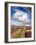 Rural Country Scene in the North of England UK-Mark Sunderland-Framed Photographic Print