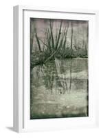Rural Country Scene on Foggy Winters Morning in Suffolk-Tim Kahane-Framed Photographic Print