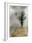 Rural Country Scene on Foggy Winters Morning in Suffolk-Tim Kahane-Framed Photographic Print