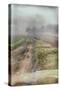 Rural Country Scene on Foggy Winters Morning-Tim Kahane-Stretched Canvas