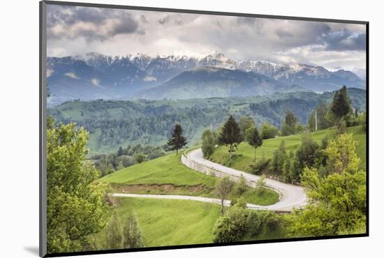 Rural Countryside and Carpathian Mountains Near Bran Castle at Pestera, Transylvania, Romania-Matthew Williams-Ellis-Mounted Photographic Print