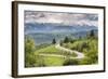 Rural Countryside and Carpathian Mountains Near Bran Castle at Pestera, Transylvania, Romania-Matthew Williams-Ellis-Framed Photographic Print