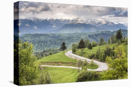 Rural Countryside and Carpathian Mountains Near Bran Castle at Pestera, Transylvania, Romania-Matthew Williams-Ellis-Stretched Canvas