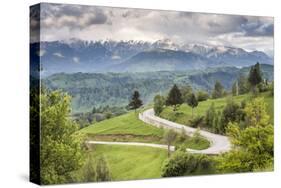 Rural Countryside and Carpathian Mountains Near Bran Castle at Pestera, Transylvania, Romania-Matthew Williams-Ellis-Stretched Canvas