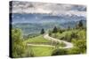 Rural Countryside and Carpathian Mountains Near Bran Castle at Pestera, Transylvania, Romania-Matthew Williams-Ellis-Stretched Canvas