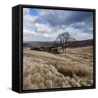 Rural Countryside Landscape in England-Craig Roberts-Framed Stretched Canvas