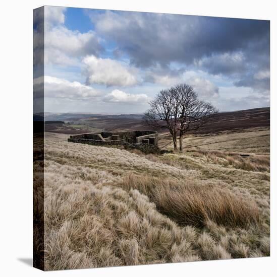 Rural Countryside Landscape in England-Craig Roberts-Stretched Canvas