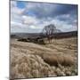 Rural Countryside Landscape in England-Craig Roberts-Mounted Photographic Print