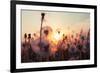 Rural Field and Dandelion at Sunset-rtsubin-Framed Photographic Print