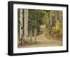 Rural Forest Road Through Aspen Trees, Gunnison National Forest, Colorado, USA-Adam Jones-Framed Premium Photographic Print