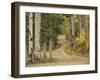 Rural Forest Road Through Aspen Trees, Gunnison National Forest, Colorado, USA-Adam Jones-Framed Photographic Print