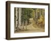 Rural Forest Road Through Aspen Trees, Gunnison National Forest, Colorado, USA-Adam Jones-Framed Photographic Print