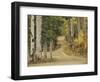 Rural Forest Road Through Aspen Trees, Gunnison National Forest, Colorado, USA-Adam Jones-Framed Photographic Print