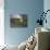 Rural Home with a Screened Porch-null-Mounted Photographic Print displayed on a wall