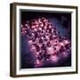 Rural Indian Villagers Learning by Lantern Light at a Government Subsidized Night School-Howard Sochurek-Framed Photographic Print