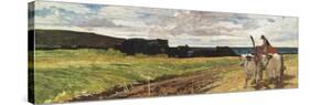 Rural Landscape, 1867-Giovanni Fattori-Stretched Canvas