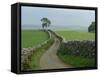 Rural Landscape and Road, Yorkshire, England, United Kingdom, Europe-Woolfitt Adam-Framed Stretched Canvas
