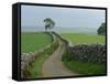 Rural Landscape and Road, Yorkshire, England, United Kingdom, Europe-Woolfitt Adam-Framed Stretched Canvas