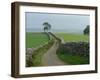 Rural Landscape and Road, Yorkshire, England, United Kingdom, Europe-Woolfitt Adam-Framed Photographic Print