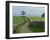 Rural Landscape and Road, Yorkshire, England, United Kingdom, Europe-Woolfitt Adam-Framed Photographic Print