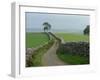 Rural Landscape and Road, Yorkshire, England, United Kingdom, Europe-Woolfitt Adam-Framed Photographic Print