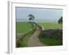 Rural Landscape and Road, Yorkshire, England, United Kingdom, Europe-Woolfitt Adam-Framed Photographic Print