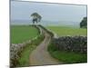 Rural Landscape and Road, Yorkshire, England, United Kingdom, Europe-Woolfitt Adam-Mounted Photographic Print