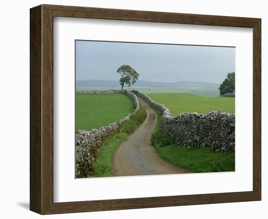 Rural Landscape and Road, Yorkshire, England, United Kingdom, Europe-Woolfitt Adam-Framed Photographic Print