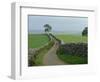 Rural Landscape and Road, Yorkshire, England, United Kingdom, Europe-Woolfitt Adam-Framed Photographic Print