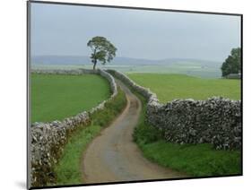 Rural Landscape and Road, Yorkshire, England, United Kingdom, Europe-Woolfitt Adam-Mounted Photographic Print
