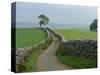 Rural Landscape and Road, Yorkshire, England, United Kingdom, Europe-Woolfitt Adam-Stretched Canvas