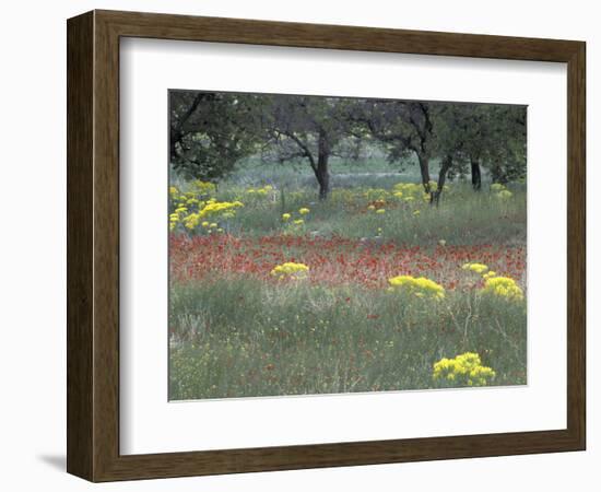 Rural Landscape and Wildflowers, Cappadocia, Turkey-Art Wolfe-Framed Photographic Print