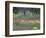 Rural Landscape and Wildflowers, Cappadocia, Turkey-Art Wolfe-Framed Photographic Print