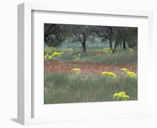 Rural Landscape and Wildflowers, Cappadocia, Turkey-Art Wolfe-Framed Photographic Print