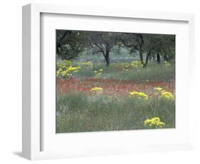 Rural Landscape and Wildflowers, Cappadocia, Turkey-Art Wolfe-Framed Photographic Print