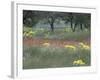 Rural Landscape and Wildflowers, Cappadocia, Turkey-Art Wolfe-Framed Photographic Print