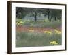 Rural Landscape and Wildflowers, Cappadocia, Turkey-Art Wolfe-Framed Photographic Print