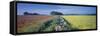 Rural landscape, Avon, England-Peter Adams-Framed Stretched Canvas