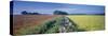 Rural landscape, Avon, England-Peter Adams-Stretched Canvas