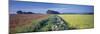 Rural landscape, Avon, England-Peter Adams-Mounted Photographic Print