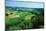 Rural Landscape, Domme, Dordogne, France-Robert Francis-Mounted Photographic Print