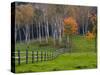 Rural Landscape, East Arlington, Vermont, USA-Joe Restuccia III-Stretched Canvas