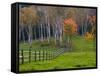 Rural Landscape, East Arlington, Vermont, USA-Joe Restuccia III-Framed Stretched Canvas