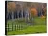 Rural Landscape, East Arlington, Vermont, USA-Joe Restuccia III-Stretched Canvas