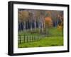 Rural Landscape, East Arlington, Vermont, USA-Joe Restuccia III-Framed Photographic Print