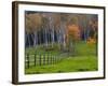 Rural Landscape, East Arlington, Vermont, USA-Joe Restuccia III-Framed Photographic Print